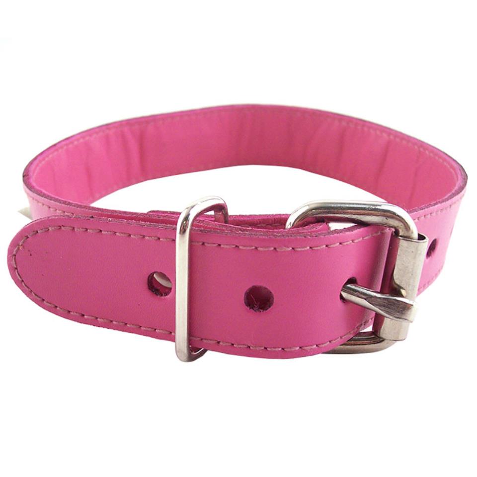 Rouge Garments Pink Studded ORing Studded Collar