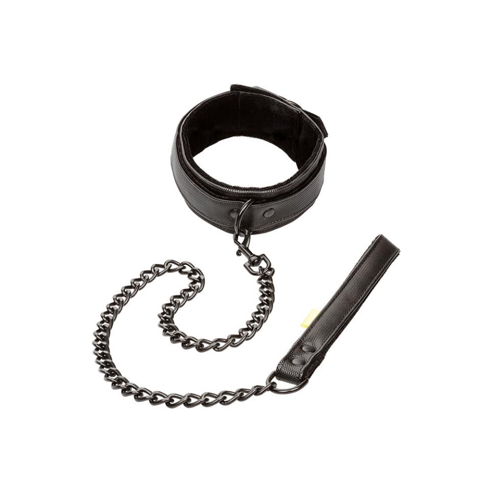 Boundless Collar and Leash